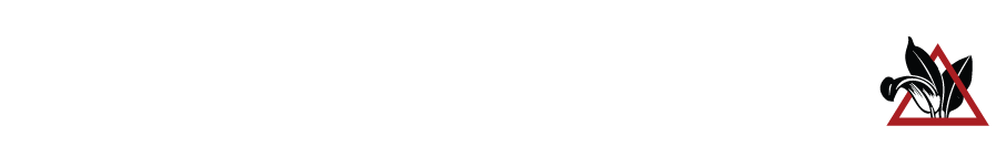 Black Sage Studio Logo Long